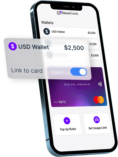 CleverCards accounts illustration